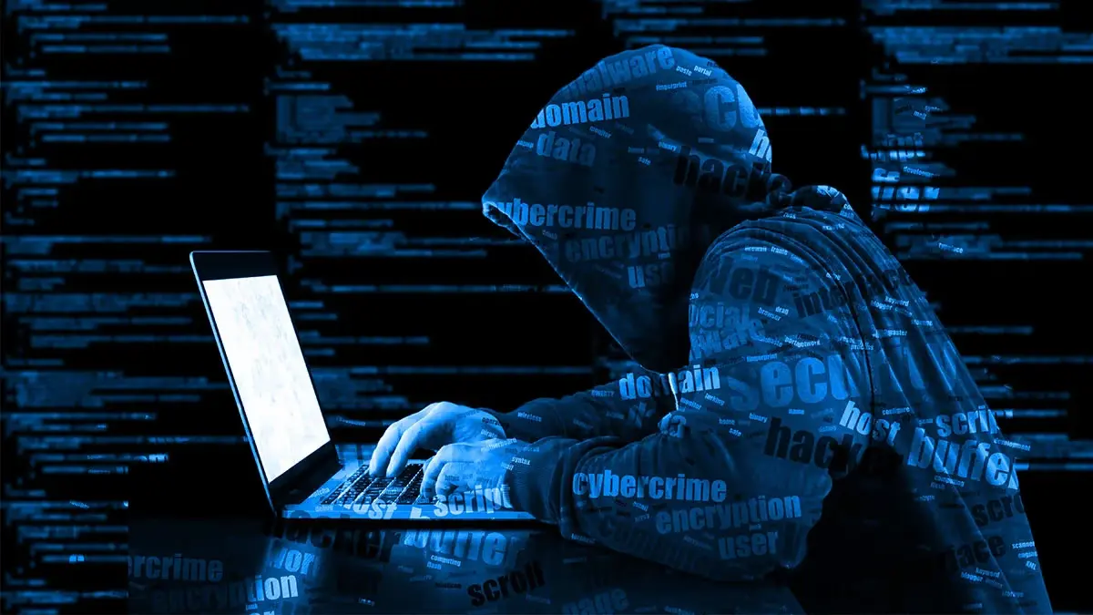 cyber crimes